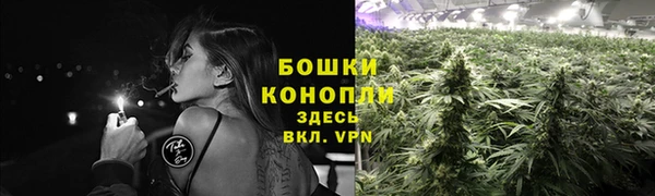ПСИЛОЦИБИНОВЫЕ ГРИБЫ Беломорск