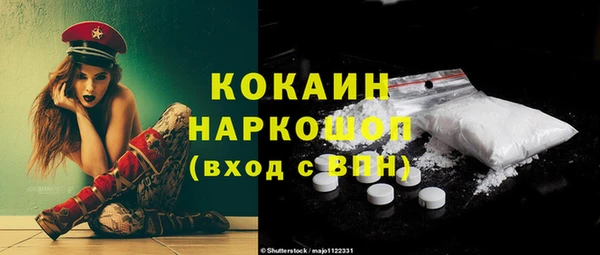 шишки Белокуриха