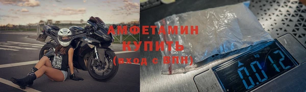 шишки Белокуриха