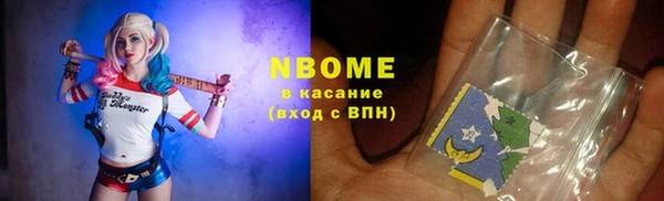 шишки Белокуриха