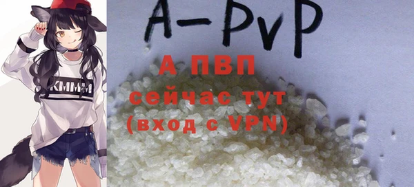 шишки Белокуриха