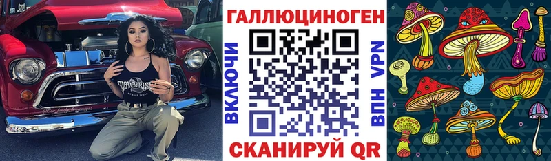 Купить где  Елизаветинская  Псилоцибиновые грибы прущие грибы 