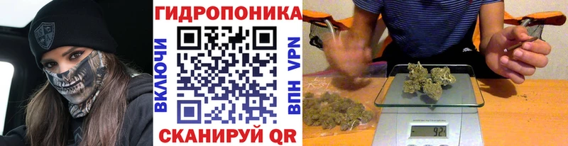 Каннабис план  Купить где  Елизаветинская 